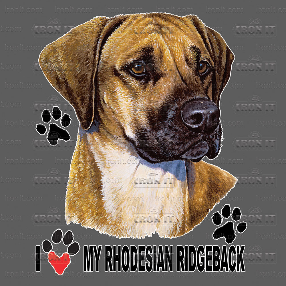Rhodesian Ridgeback