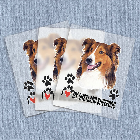 Shetland Sheepdog