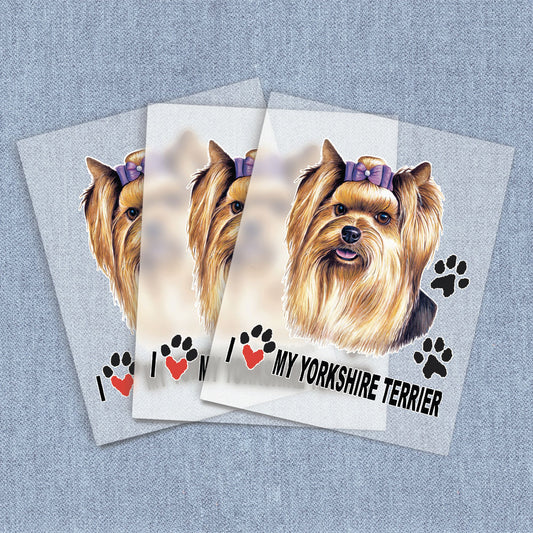 Yorkshire Terrier