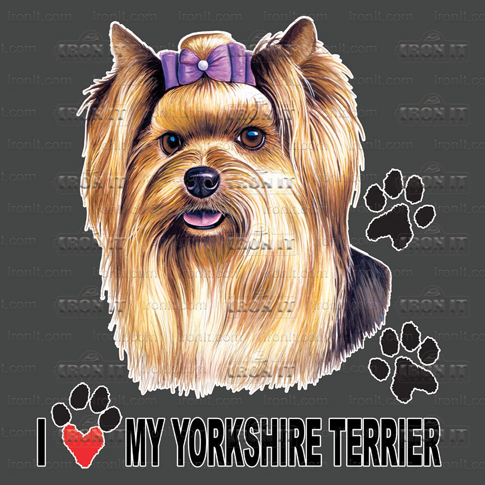 Yorkshire Terrier