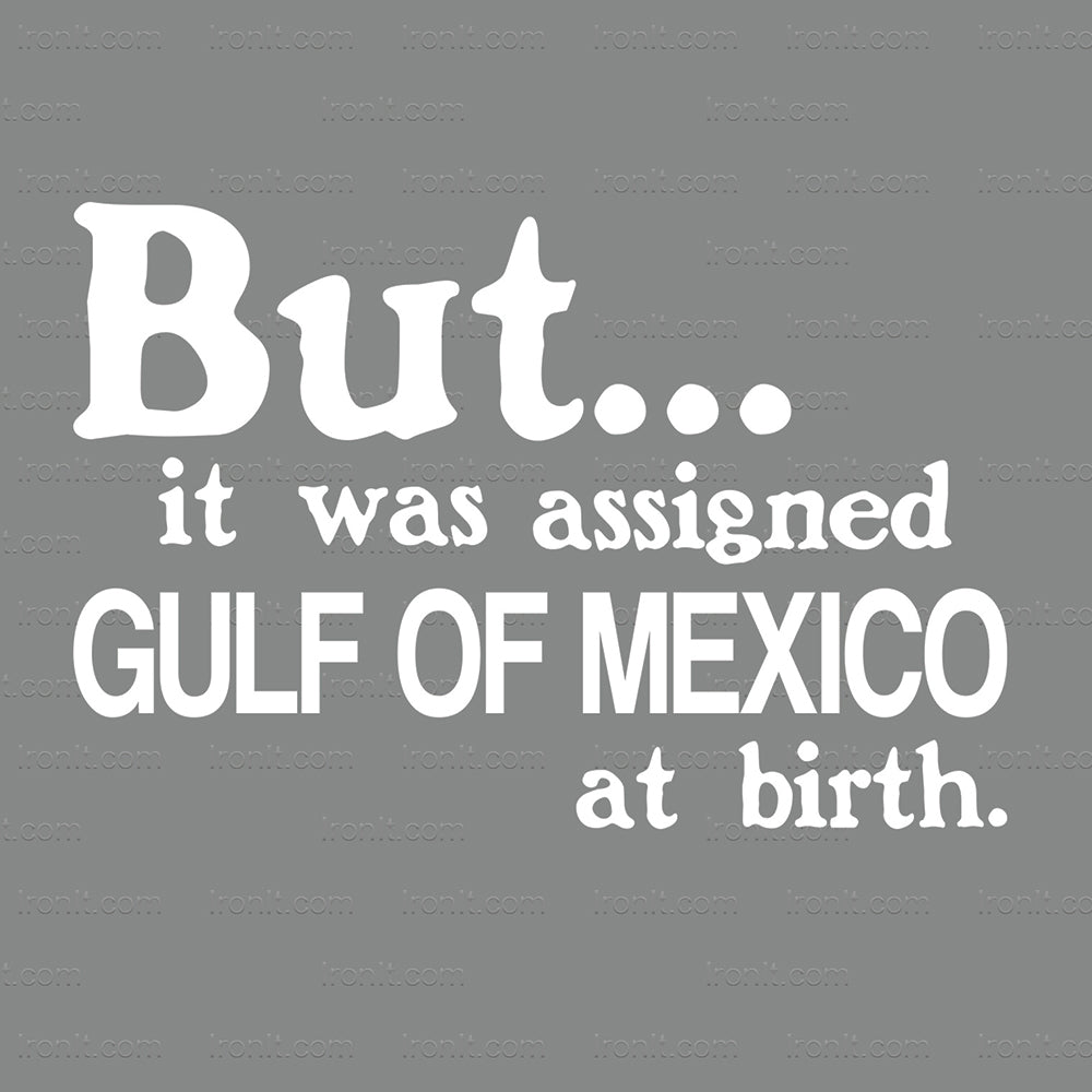 Assigned Gulf Of America