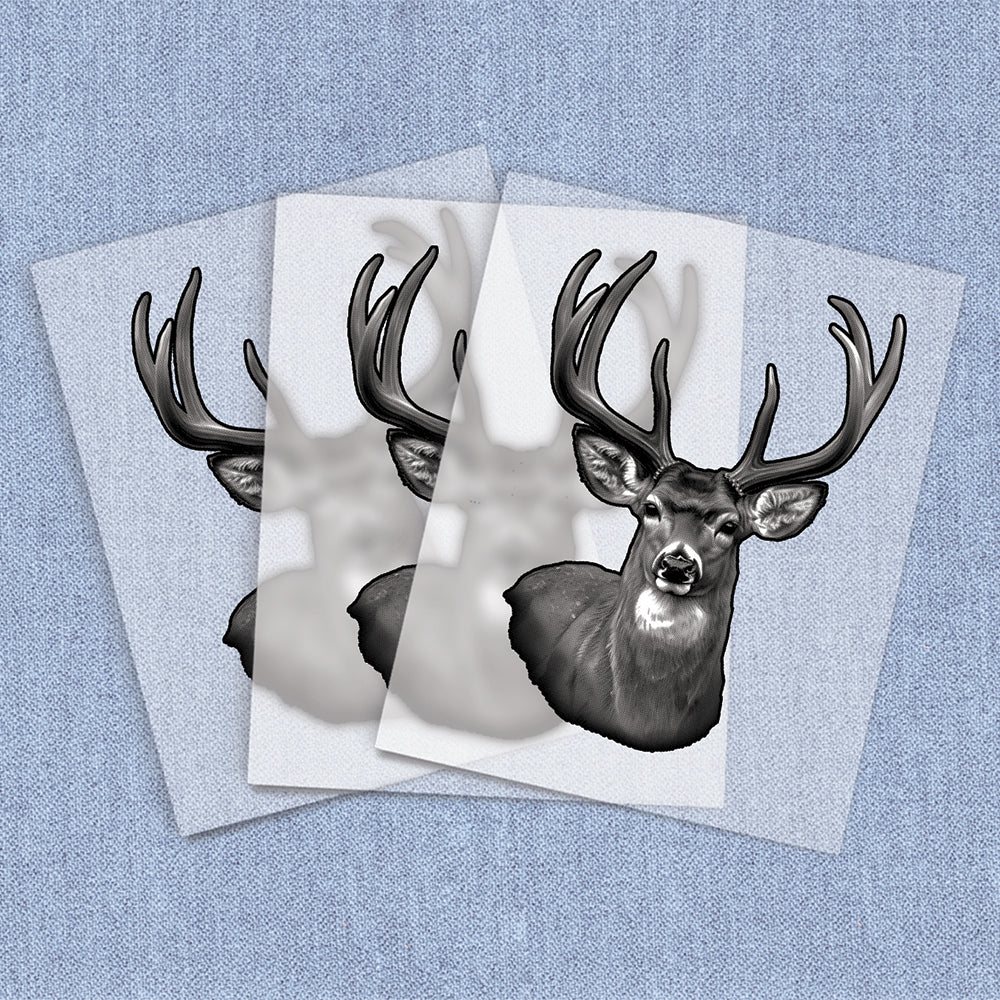 Deer Portrait