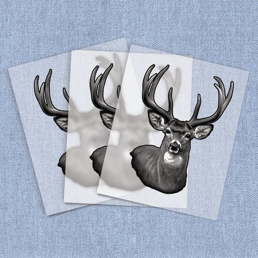 Deer Portrait