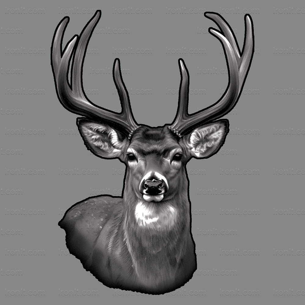 Deer Portrait