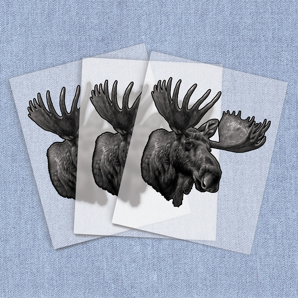 Moose Portrait