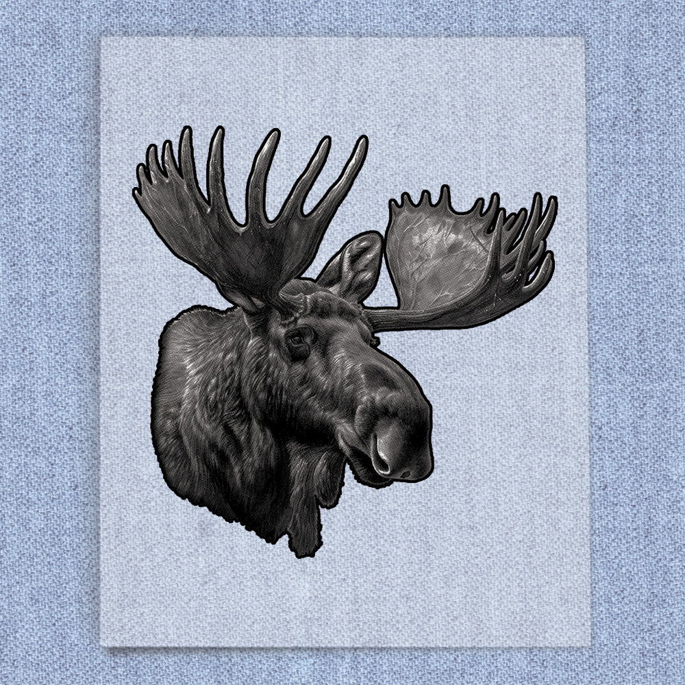 Moose Portrait
