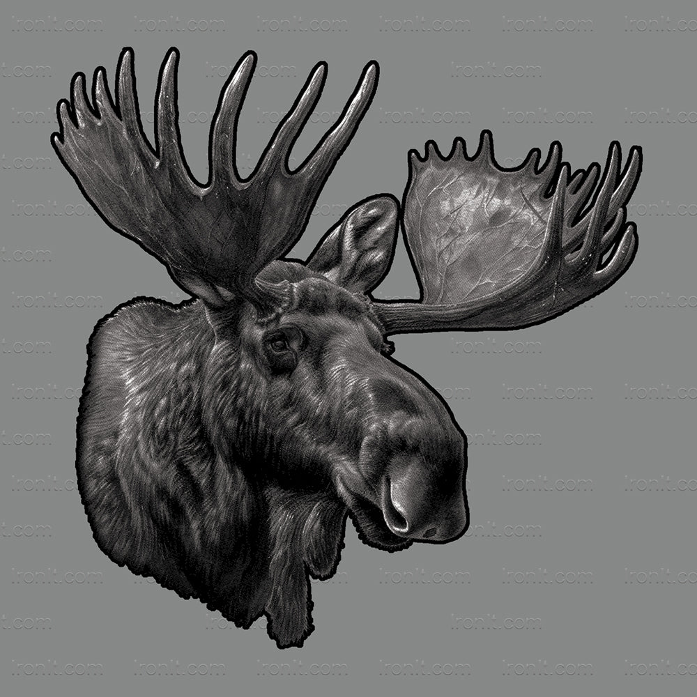 Moose Portrait