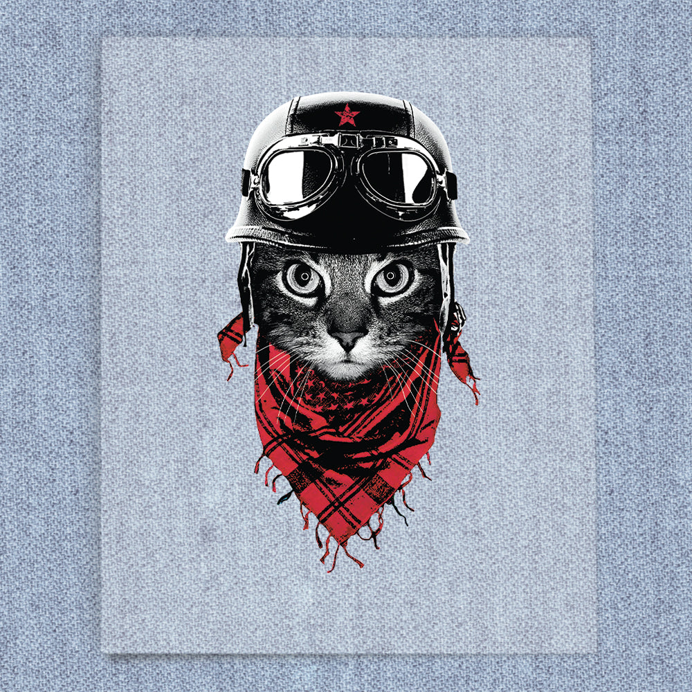 Adventurer Cat