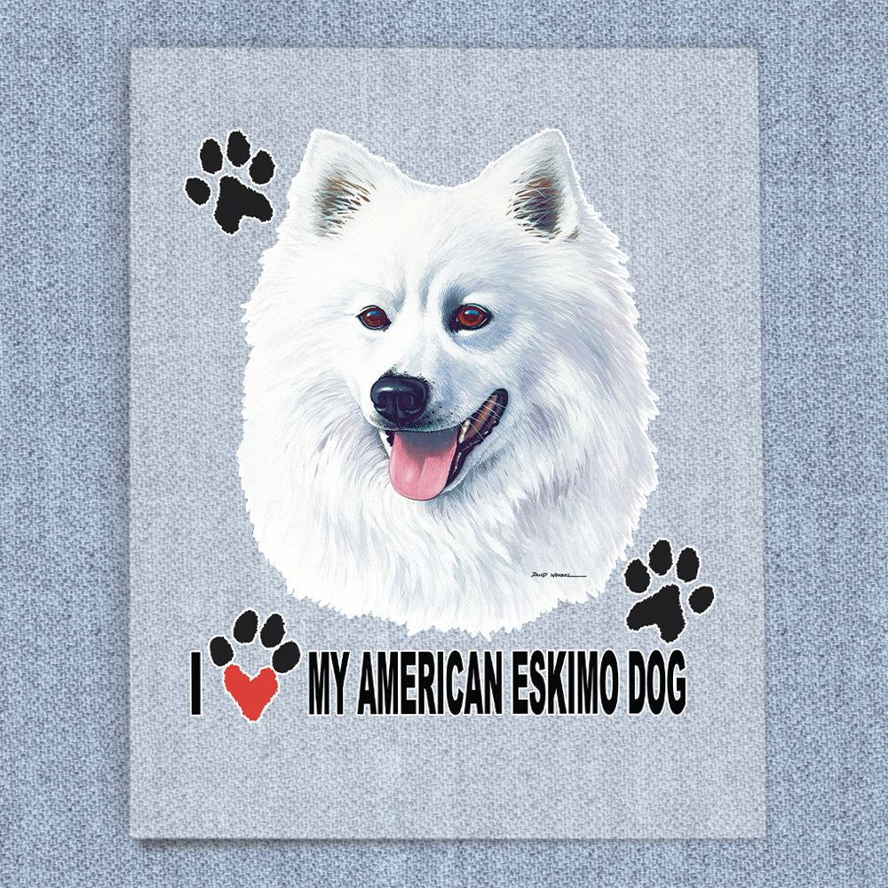 American Eskimo Dog