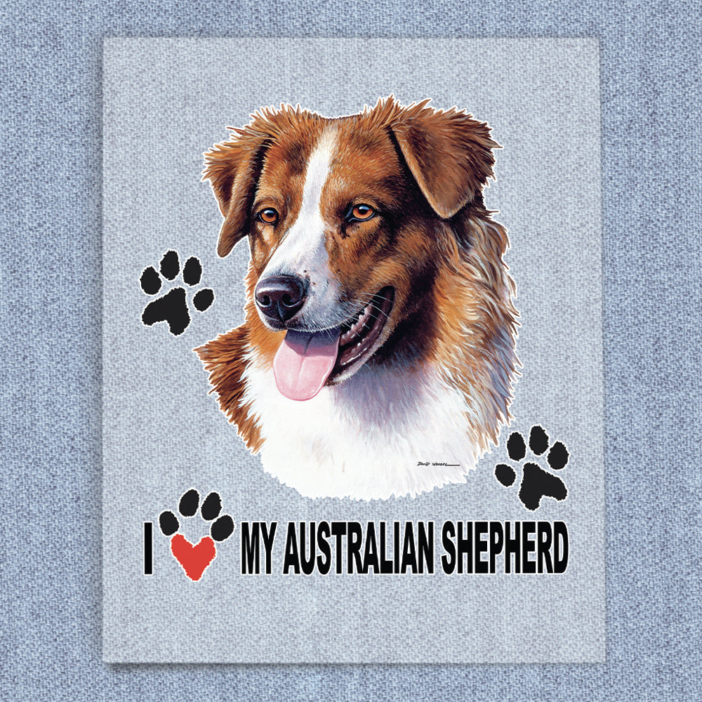 Australian Shepherd