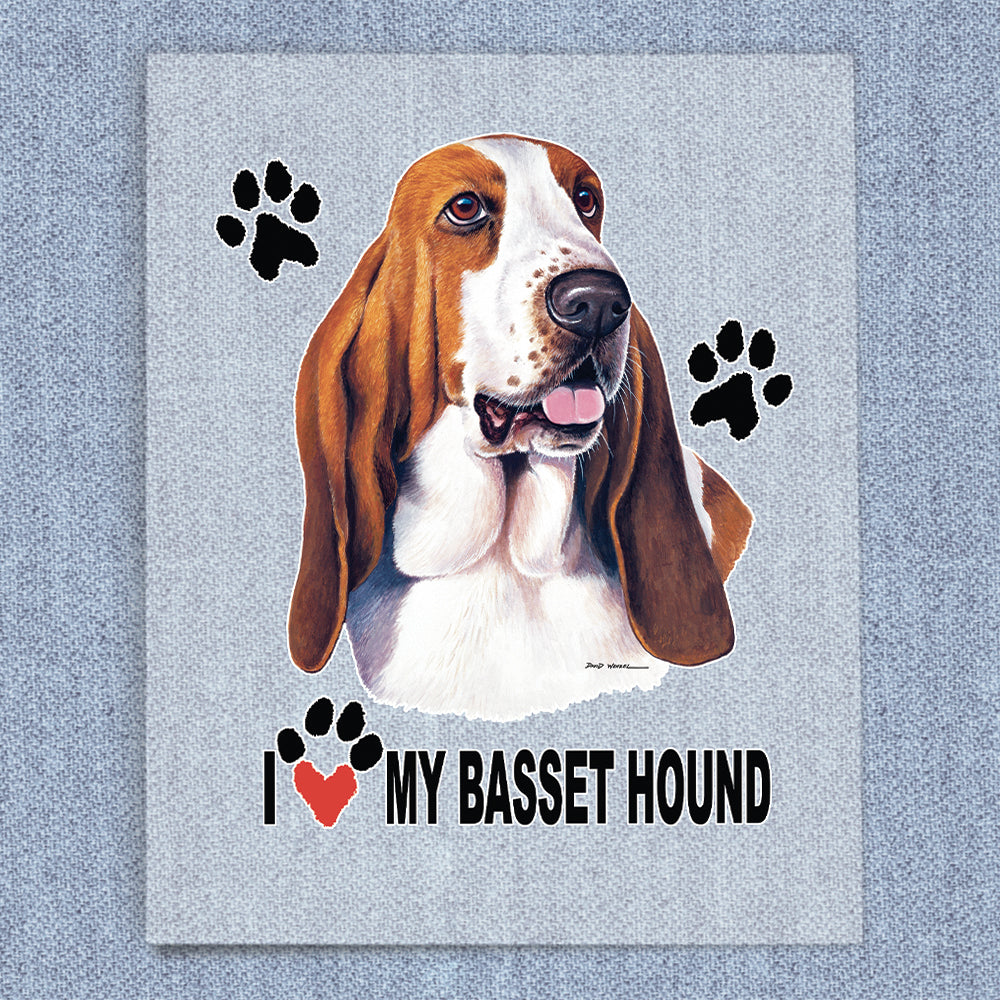 Basset Hound