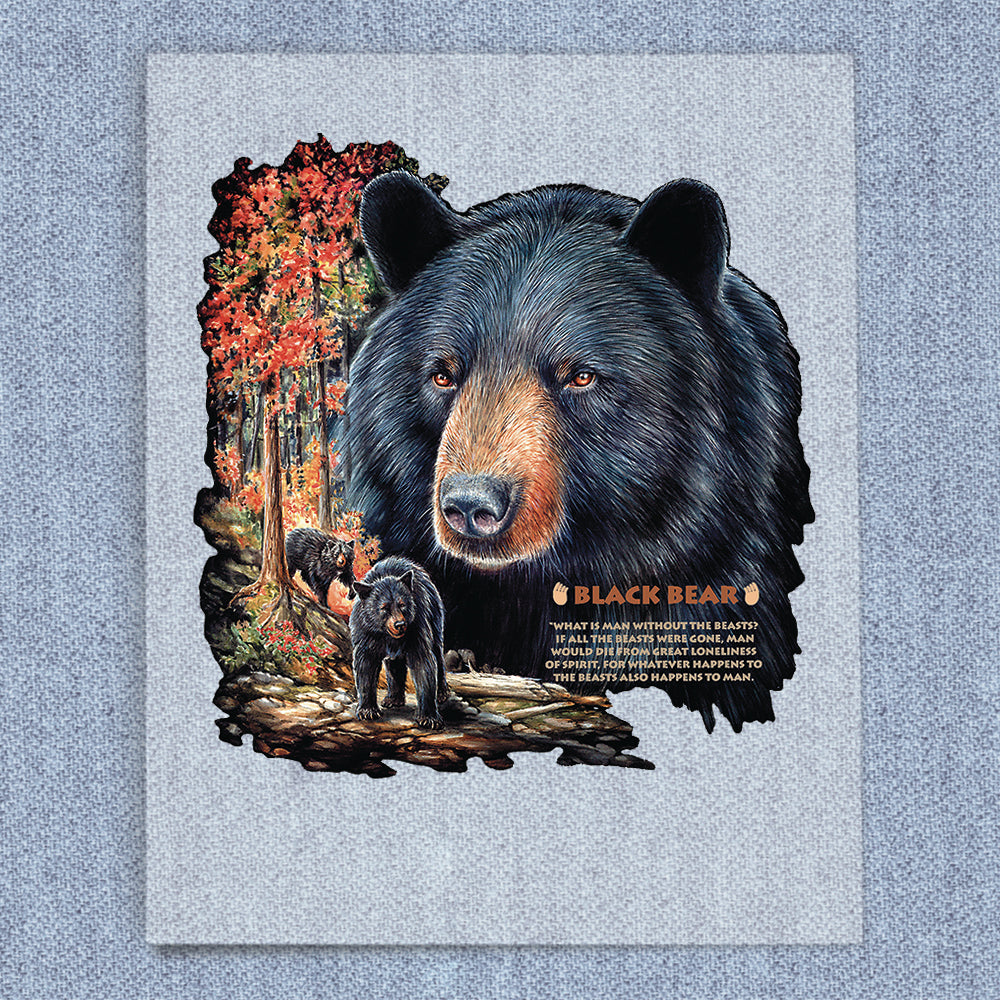 Black Bear