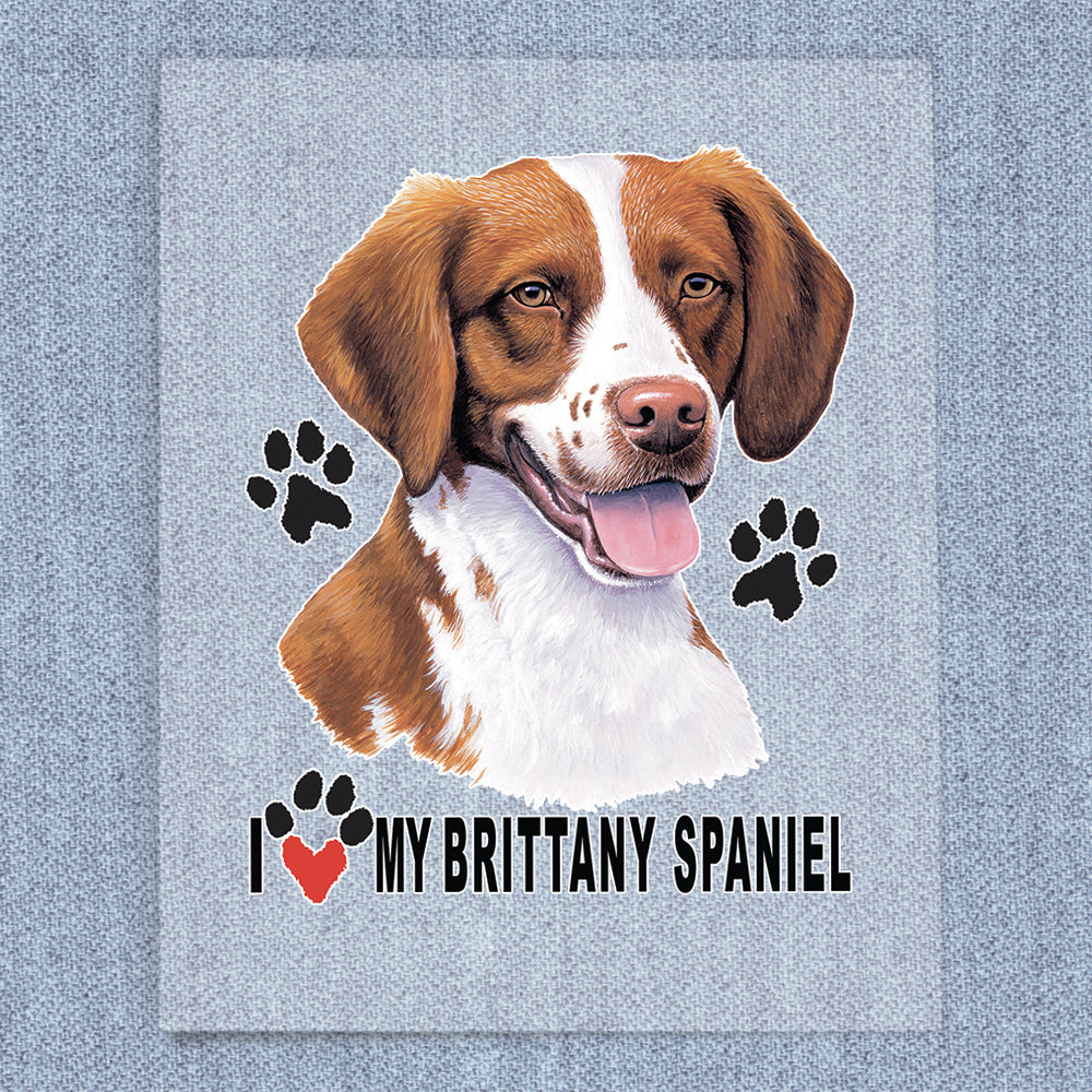 Brittany Spaniel