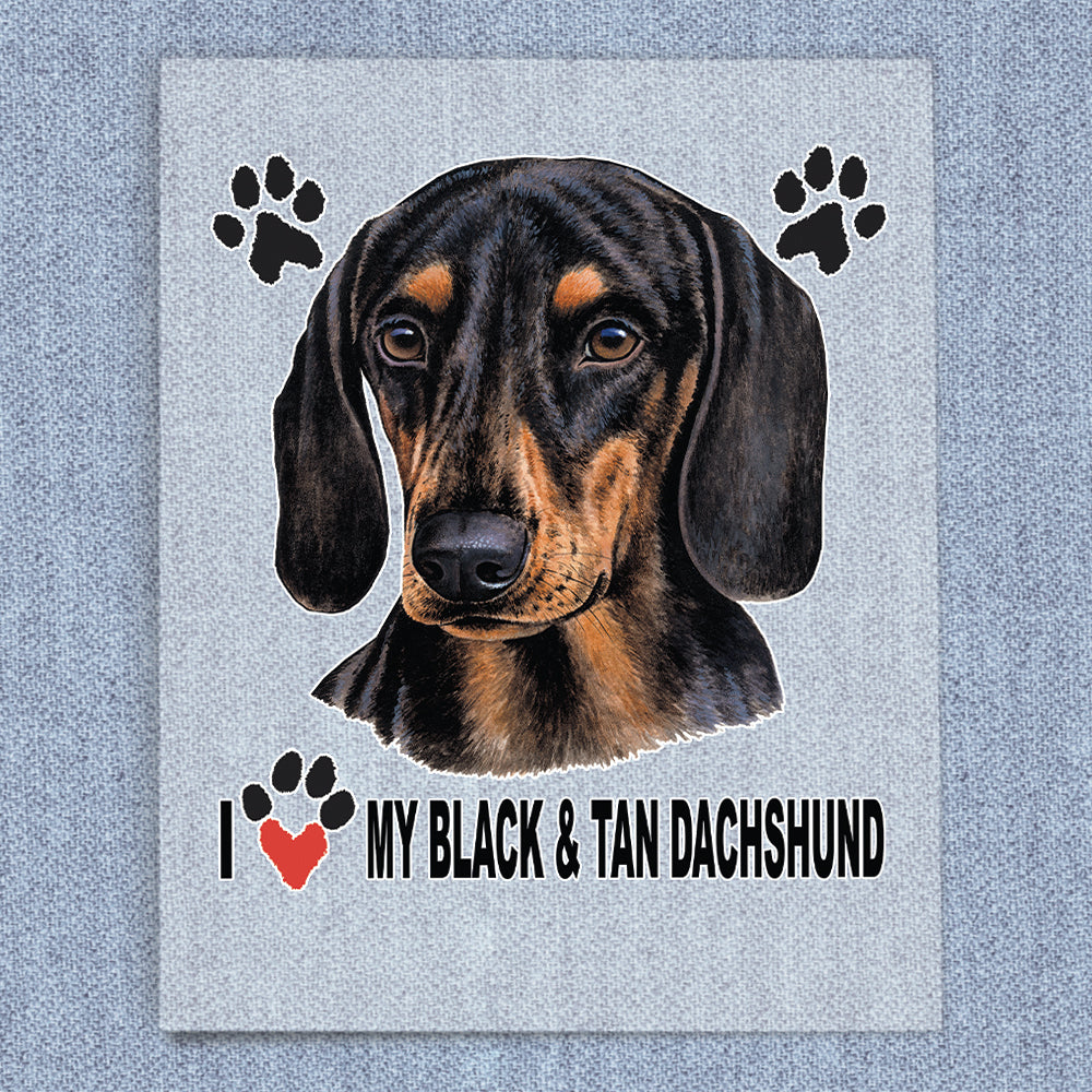 Dachshund (Black & Tan)