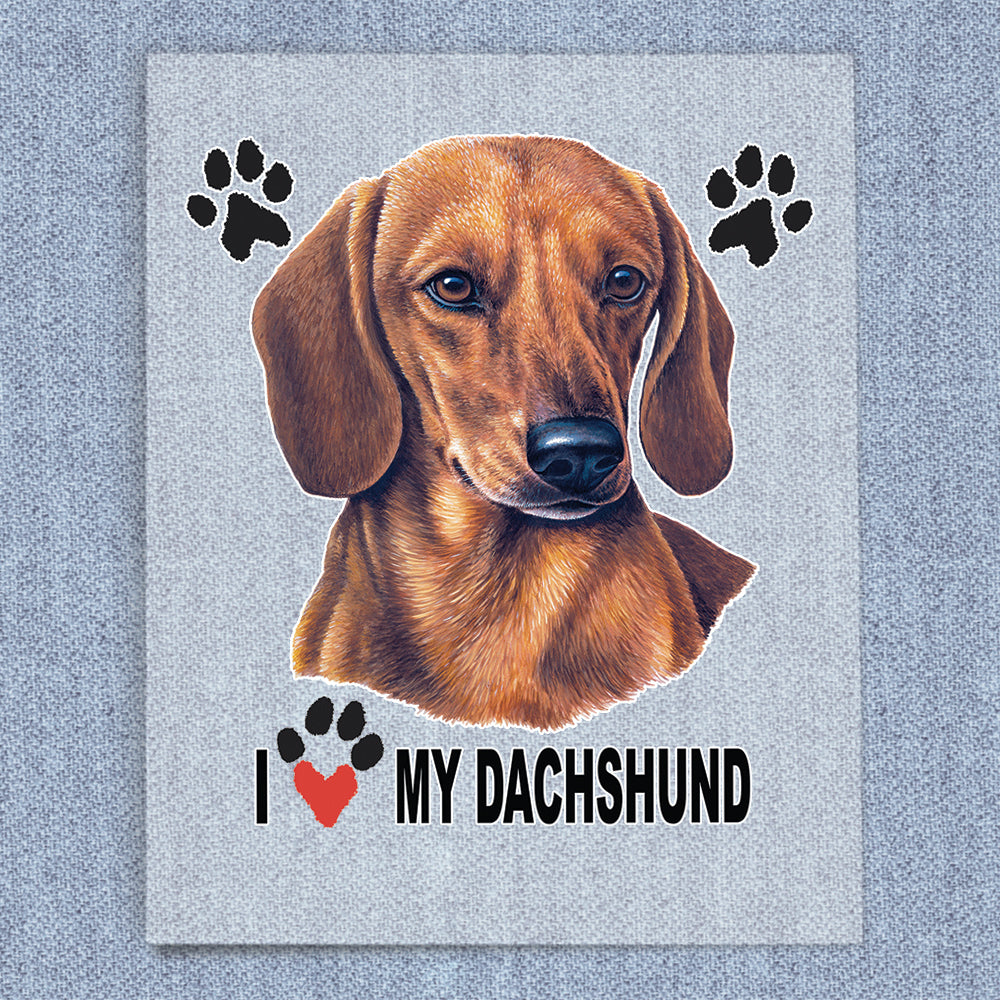 Dachshund