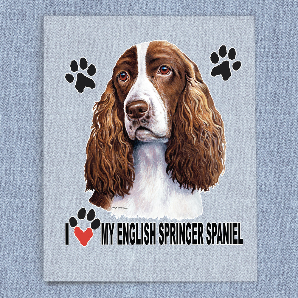 English Springer Spaniel
