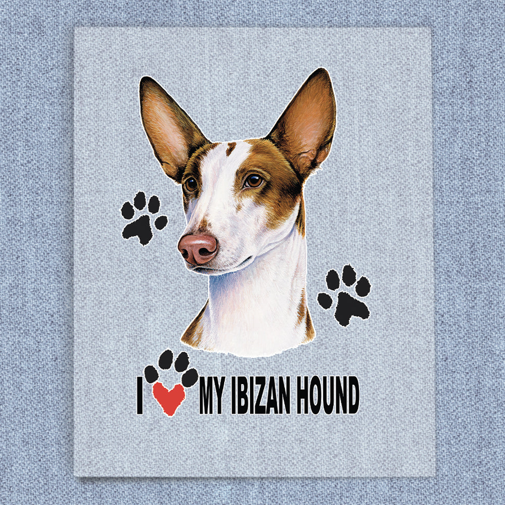 Ibizan Hound