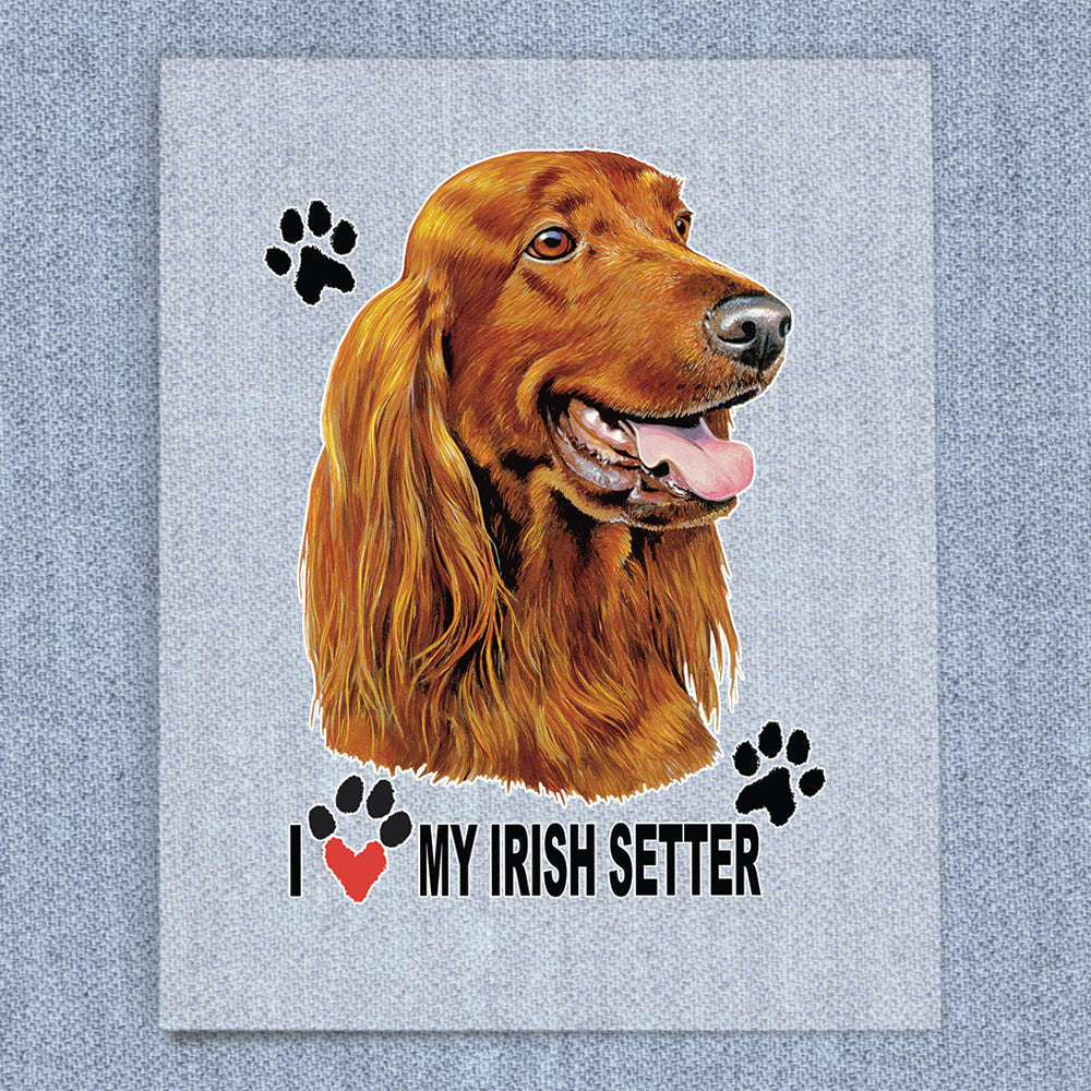Irish Setter