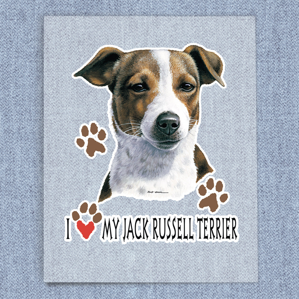 Jack Russel