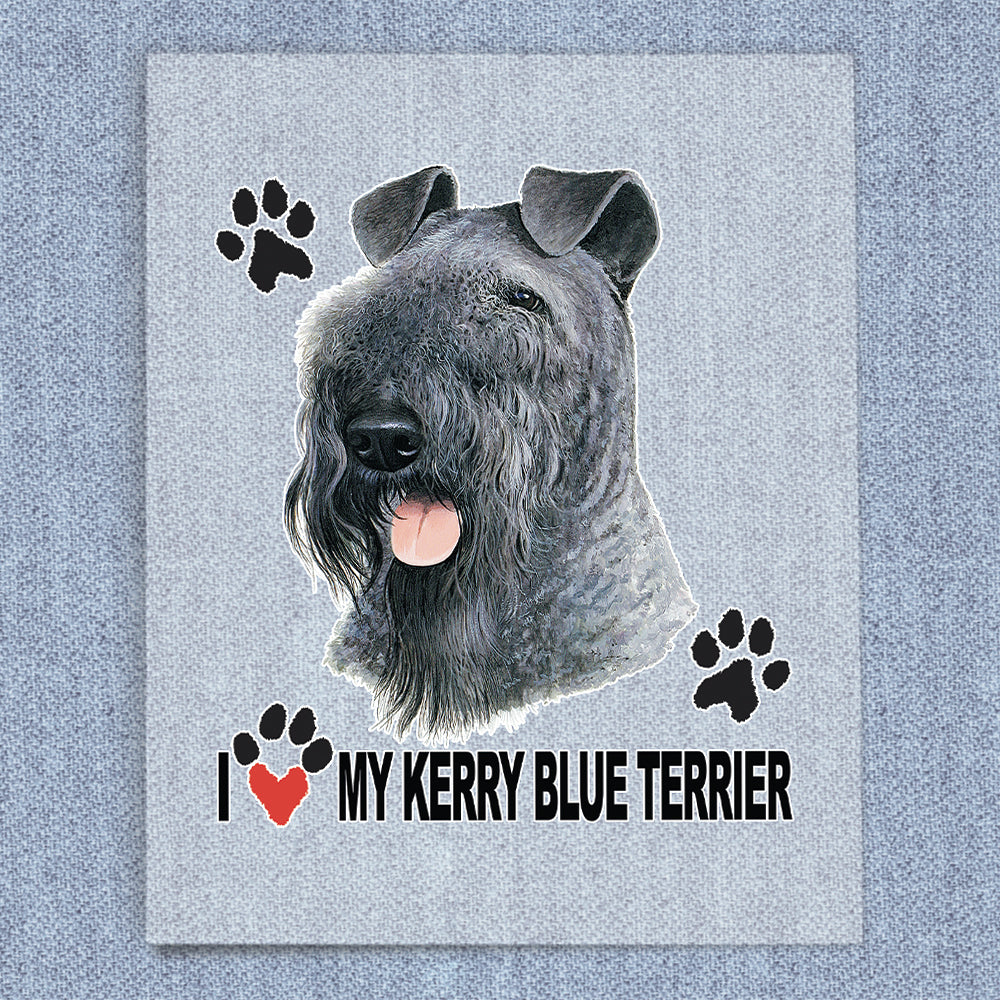 Kerry Blue Terrier