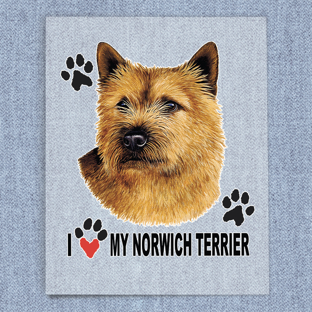 Norwich Terrier