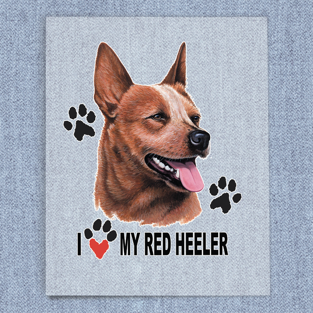 Red Heeler