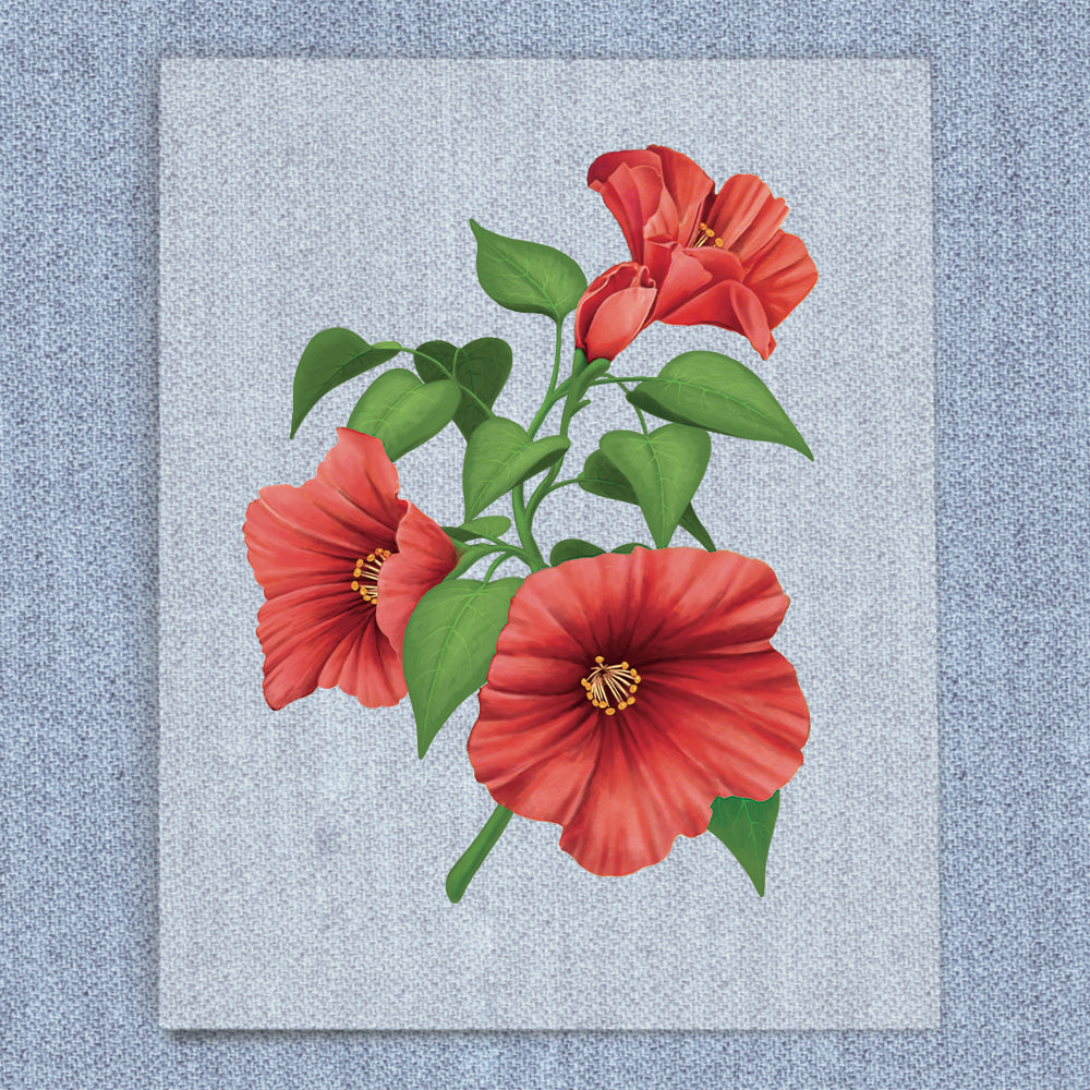 Red Hibiscus