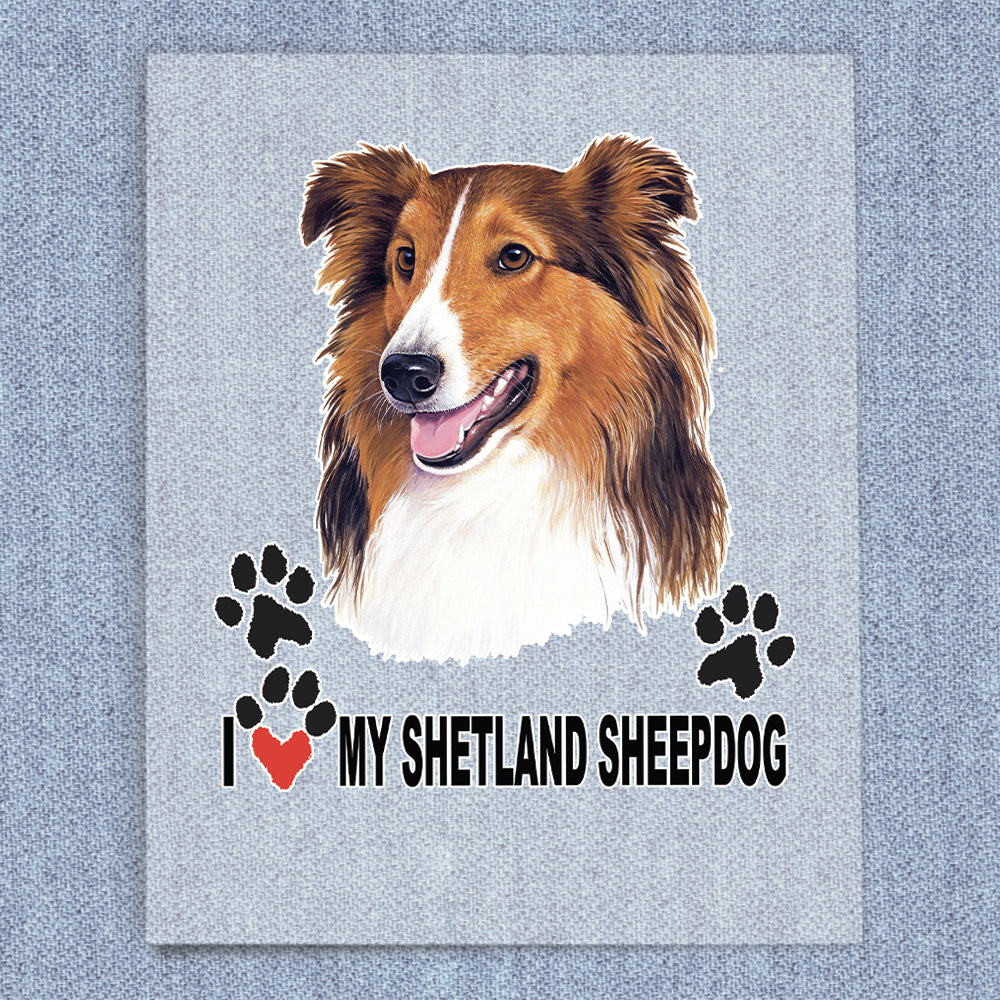 Shetland Sheepdog