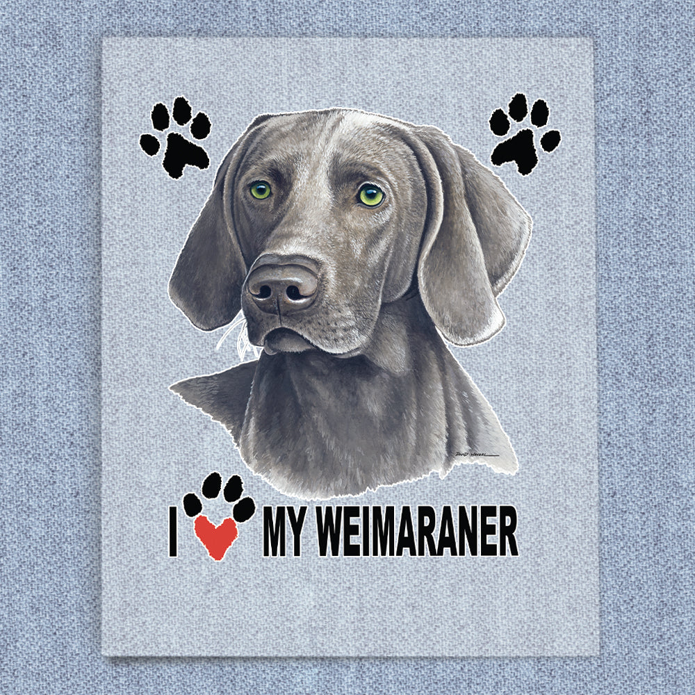 Weimaraner