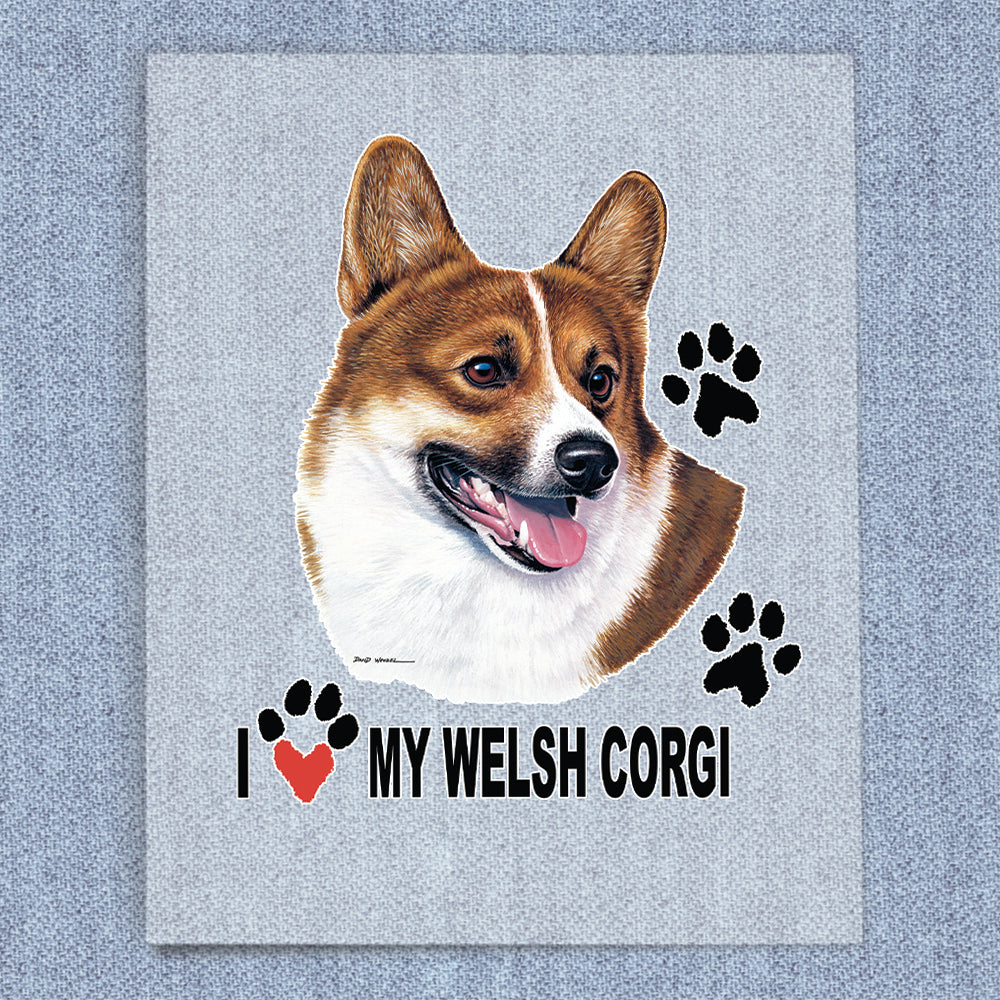 Welsh Corgi