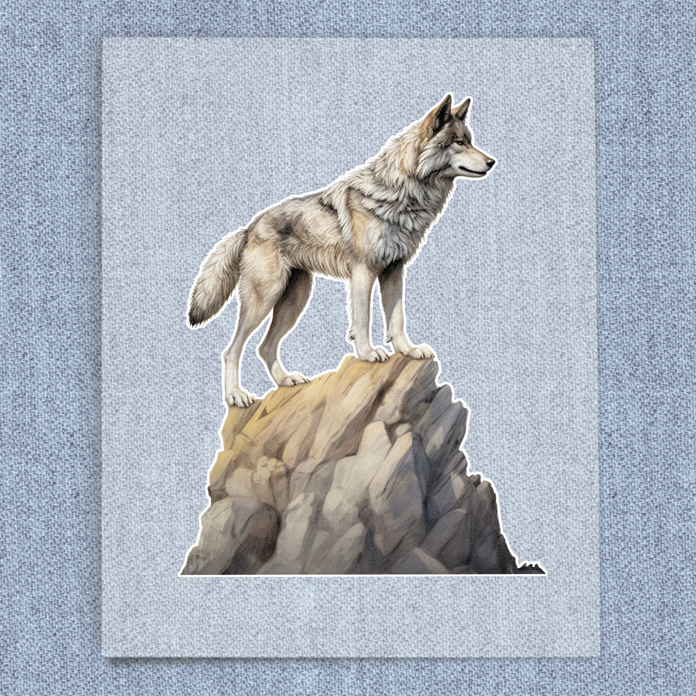 Wolf On A Rock