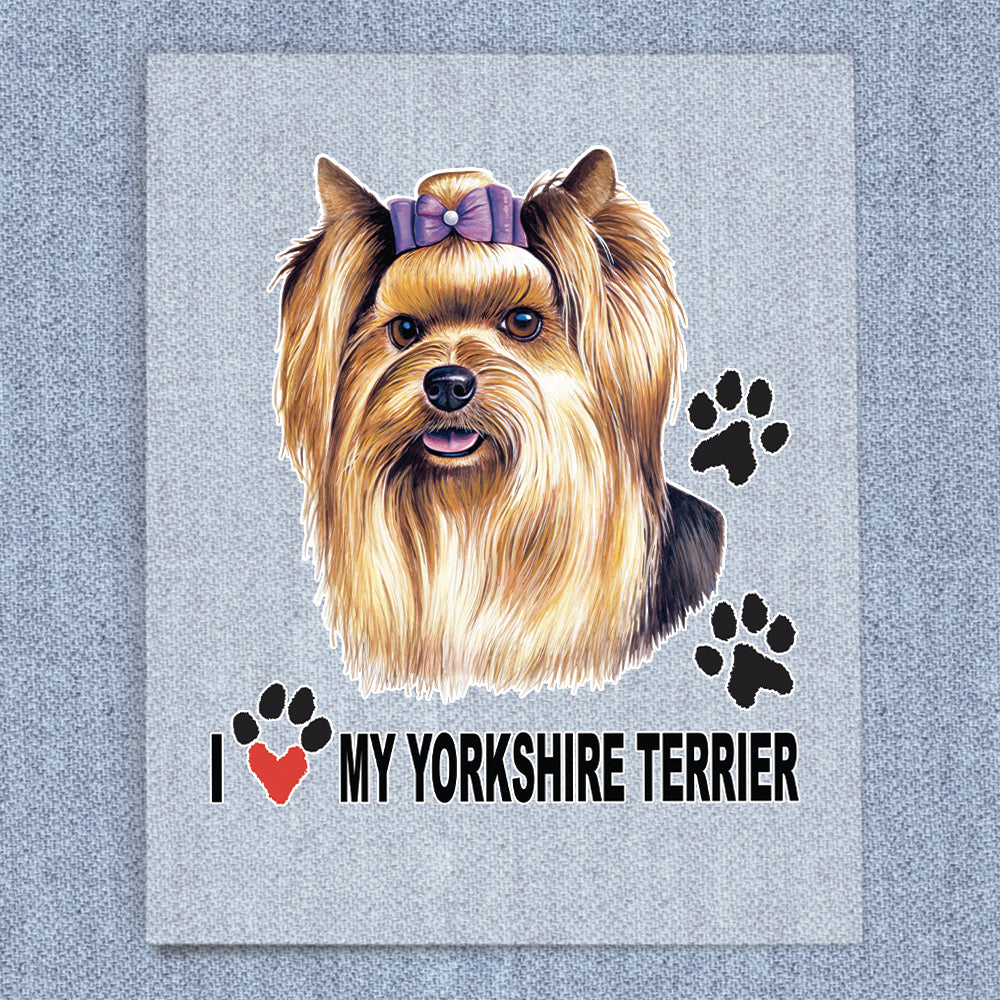 Yorkshire Terrier
