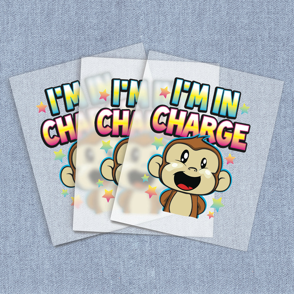 I'm In Charge | Kids DTF Heat Transfers