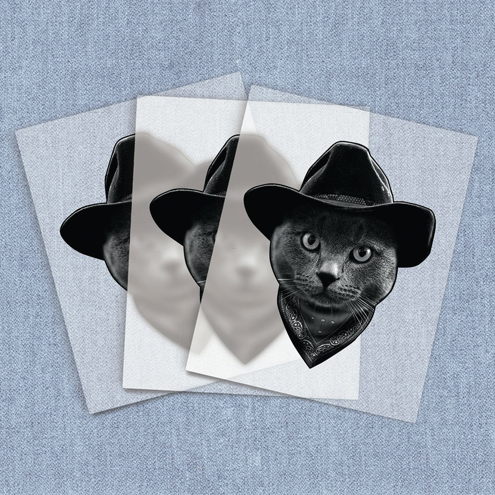 Cowboy Cat | Cats DTF Heat Transfers