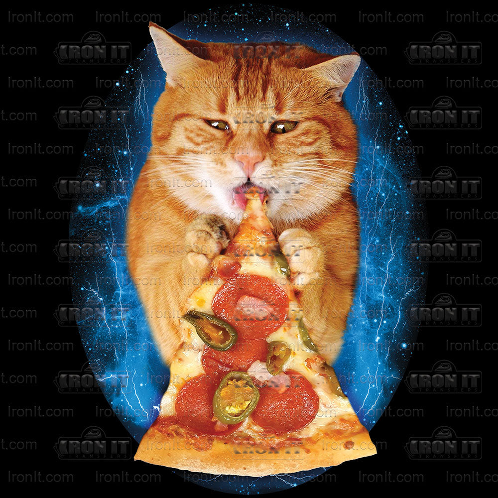 Pizza Cat | Cats Direct-To-Film Transfer