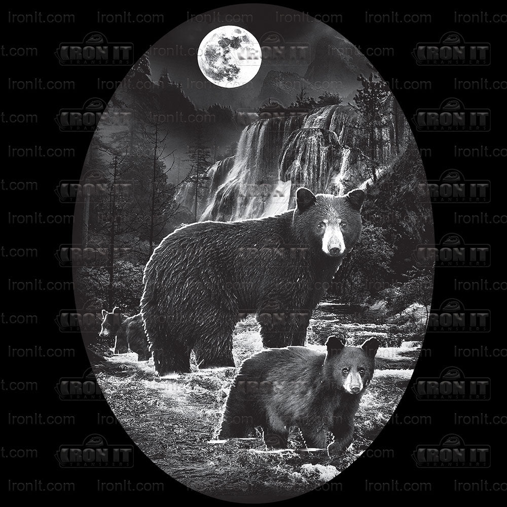 Night Bears | Wildlife Direct-To-Film Transfer