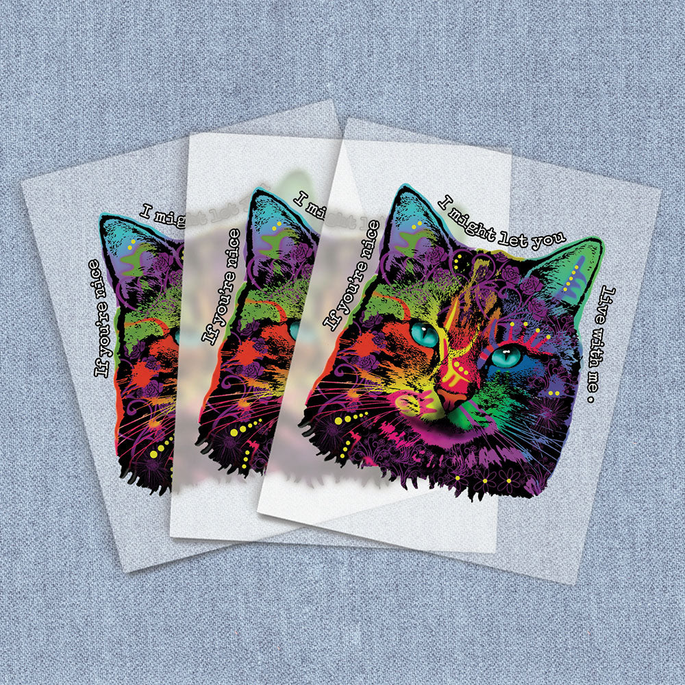 Hot Cat | Cats DTF Heat Transfers