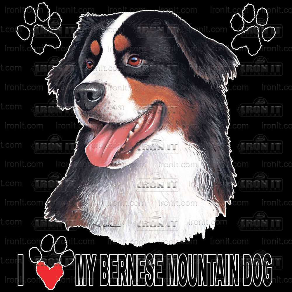 Bernese Mountain Dog | Dogs Direct to Film Heat Transfers