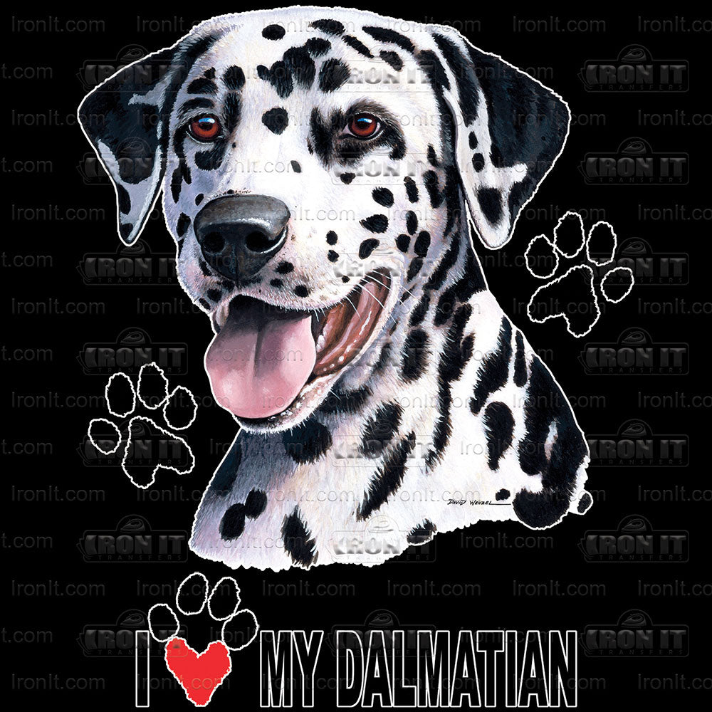 Dalmatian | Dogs Direct to Film Heat Transfers