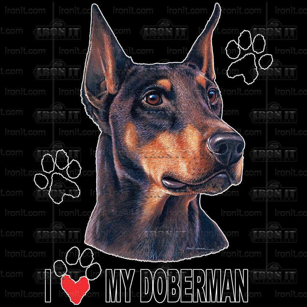 Doberman Pinscher | Dogs Direct to Film Heat Transfers