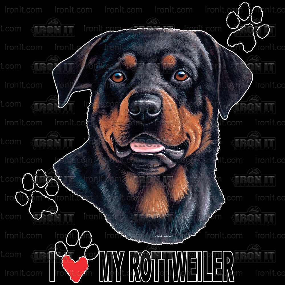 Rottweiler | Dogs Home Iron On DTF (Direct To Film) Heat Transfers ...