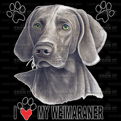 Weimaraner | Dogs Direct to Film Heat Transfers