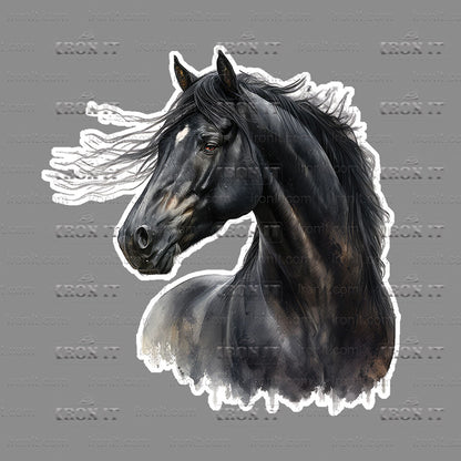 Black Horse Head