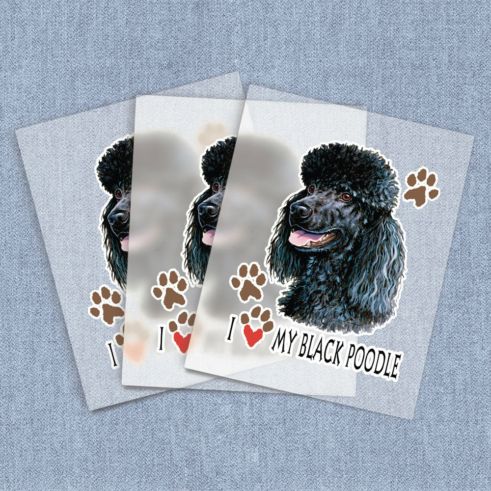 Black Poodle