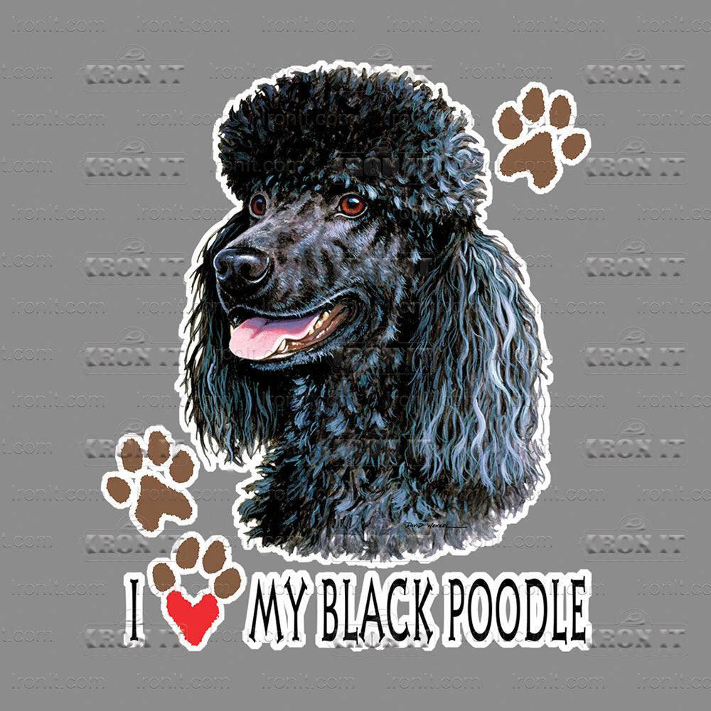 Black Poodle