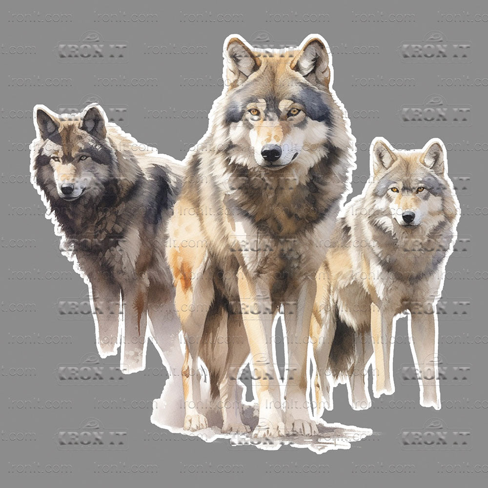 3 Wolves