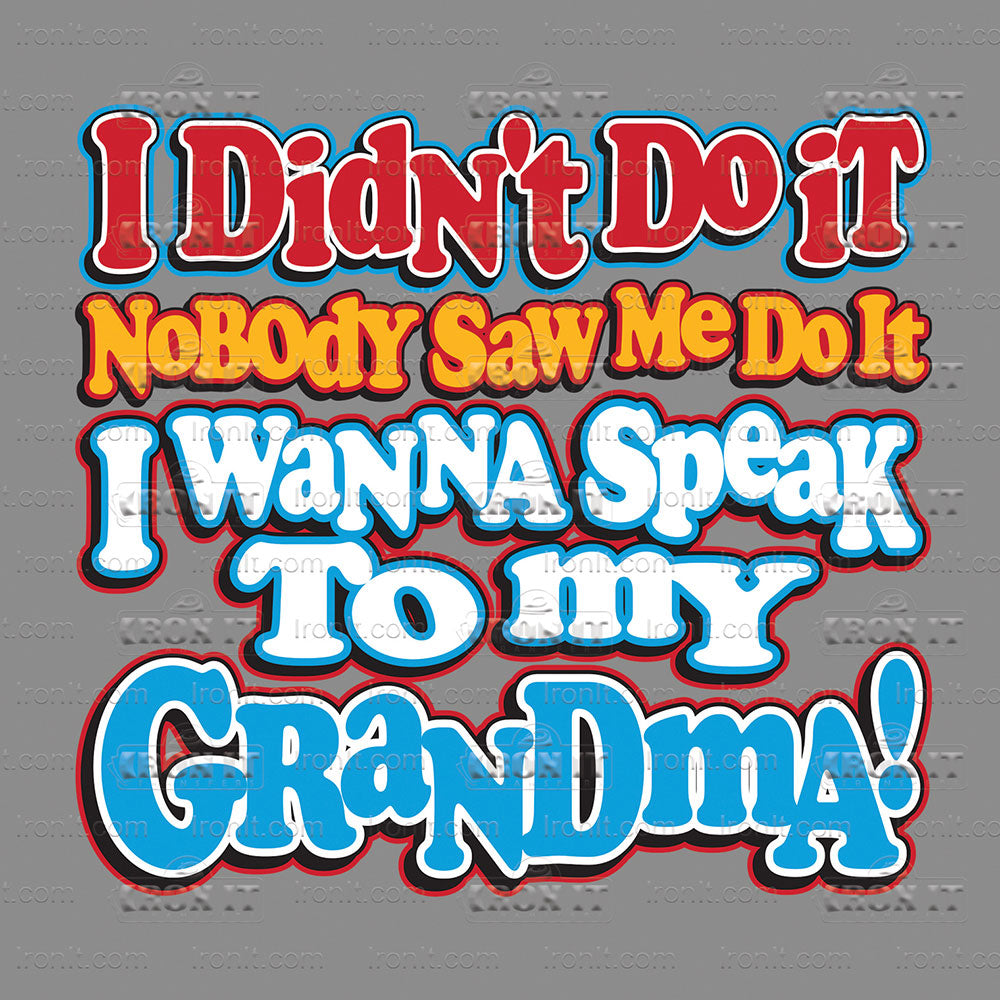 I Didn't Do It Grandma