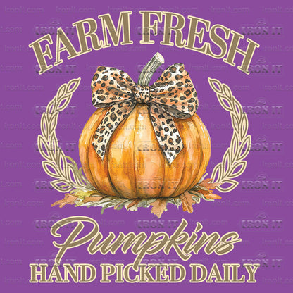 Farm Fresh Pumpkins