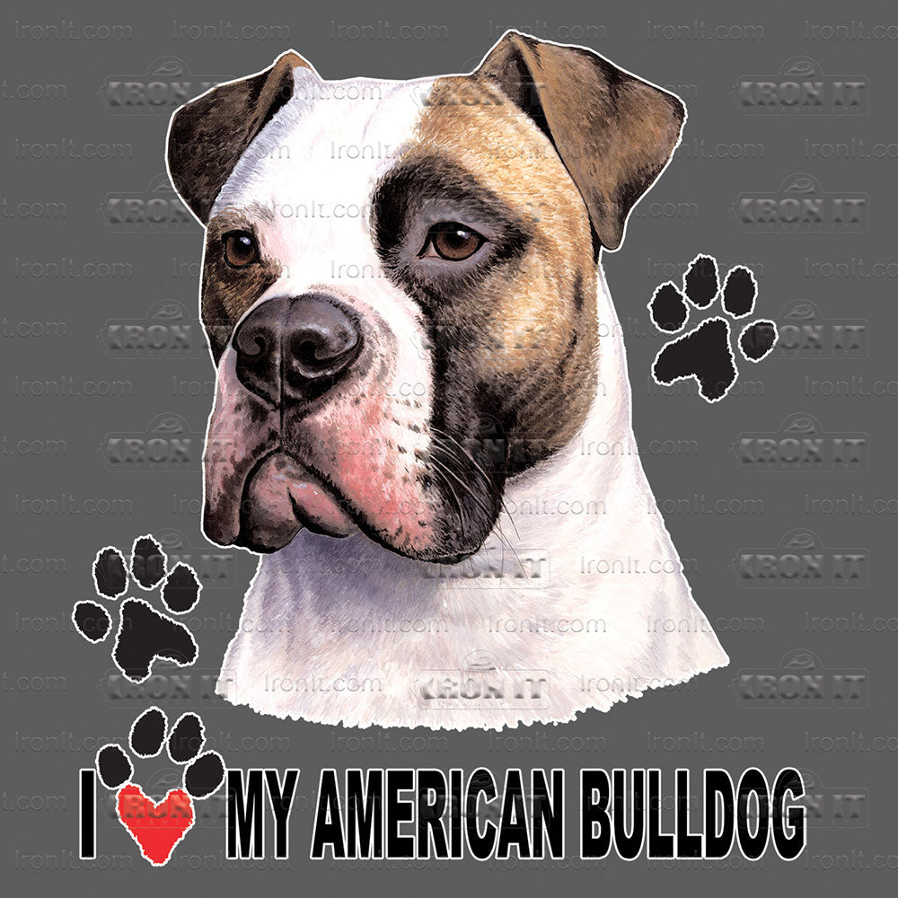 American Bulldog