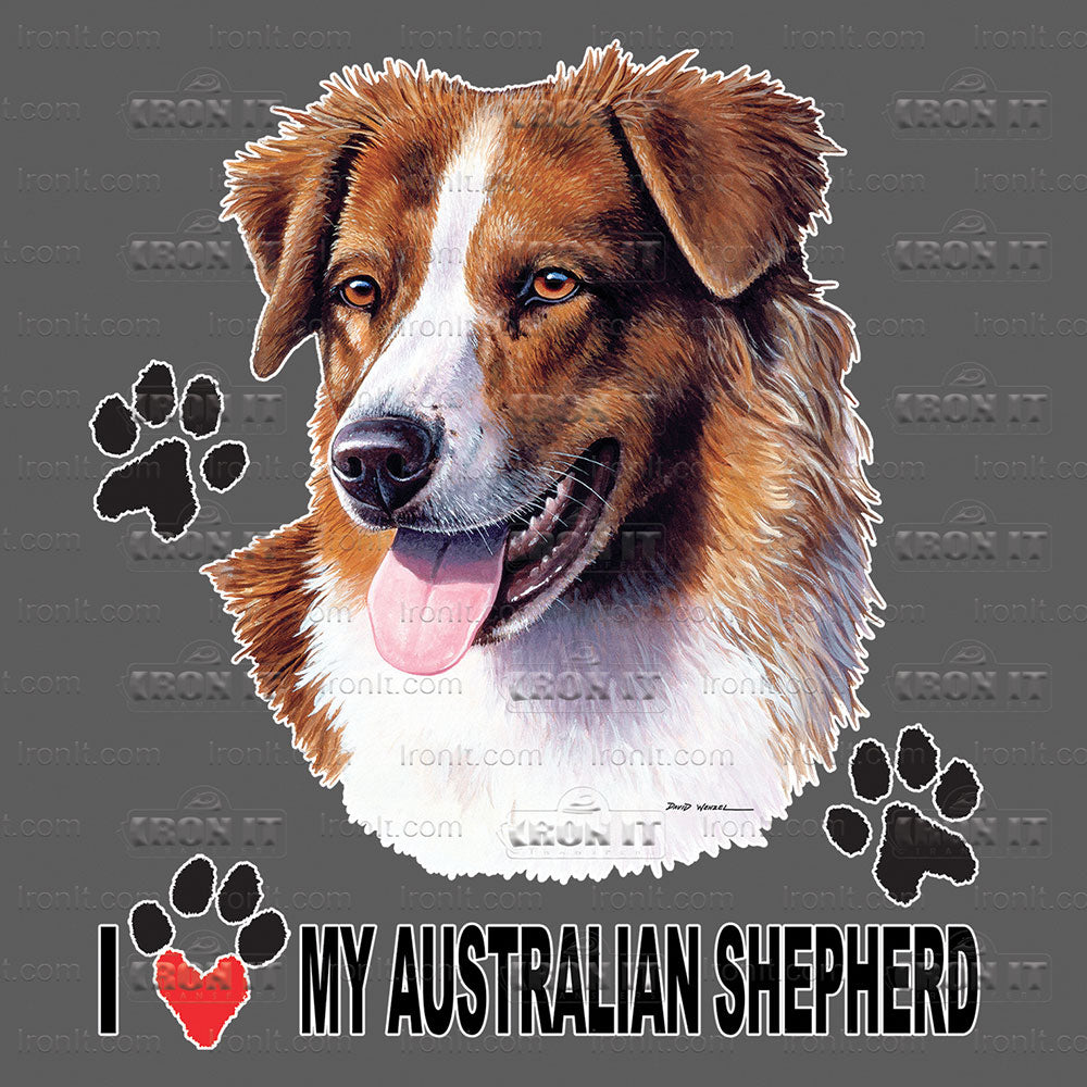 Australian Shepherd